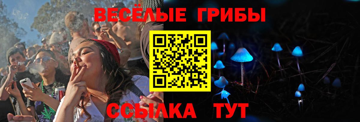Урус-Мартан  Псилоцибиновые грибы Psilocybe  Вход с VPN 