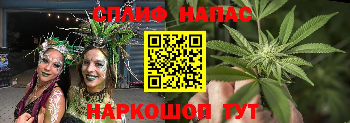 Шишки марихуана конопля Урус-Мартан